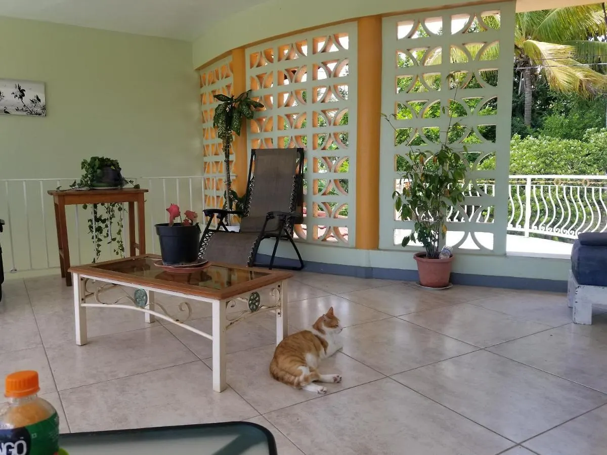 Chaudhry Second Floor Single Suite Montego Bay Jamaika